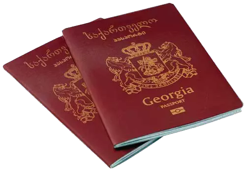 image1 image1